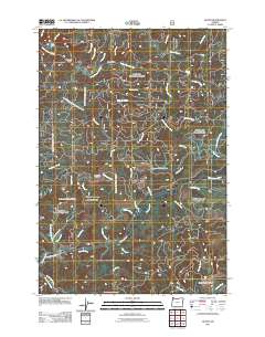 2011 Map of Dolph, 2011 Print