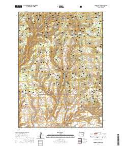 2020 Map of Donnelly Butte, 2020 Print