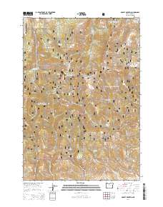 2014 Map of Dooley Mountain, 2014 Print