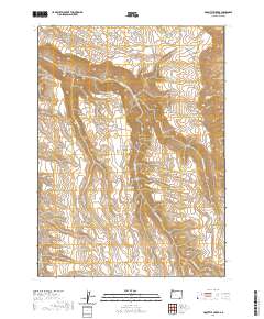 2020 Map of Doolittle Creek, 2020 Print
