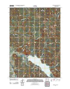 2011 Map of Dorena Lake, 2011 Print