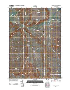 2011 Map of Downey Canyon, 2011 Print