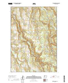 2020 Map of Drake Crossing, 2020 Print