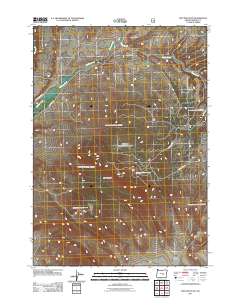 2011 Map of Dry Mountain, 2011 Print