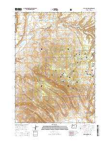 2014 Map of Dry Mountain, 2014 Print