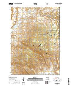 2020 Map of Dry Mountain, 2020 Print