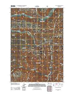 2011 Map of Duck Creek, 2011 Print