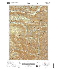 2020 Map of Duck Creek, 2020 Print