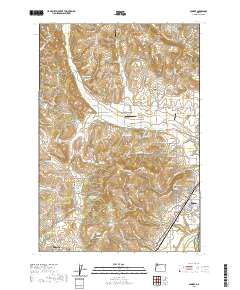 2020 Map of Dundee, 2020 Print