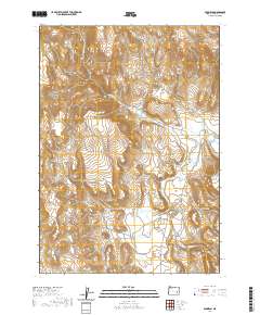 2020 Map of Dunnean, 2020 Print
