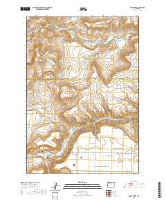 2020 Map of Eagle Butte, 2020 Print