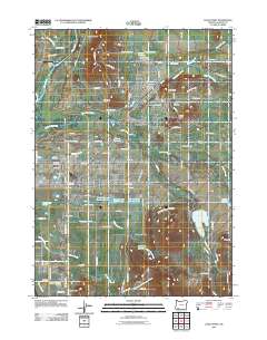 2011 Map of Eagle Point, 2011 Print