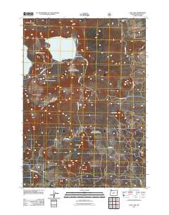 2011 Map of East Lake, 2011 Print