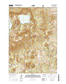 2014 Map of East Lake, 2014 Print