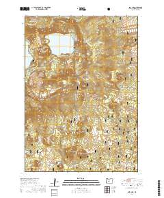 2020 Map of East Lake, 2020 Print