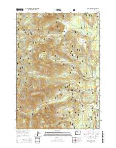 2014 Map of Echo Mountain, 2014 Print