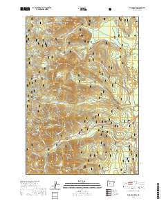 2020 Map of Echo Mountain, 2020 Print