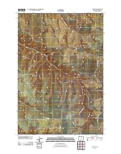 2011 Map of Echo SE, 2011 Print