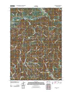 2011 Map of Eddyville, 2011 Print