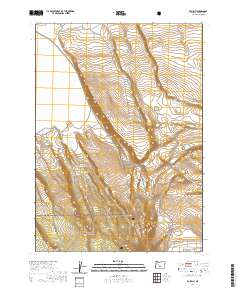 2020 Map of Egli Rim, 2020 Print