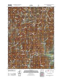 2011 Map of Eight Dollar Mountain, 2011 Print