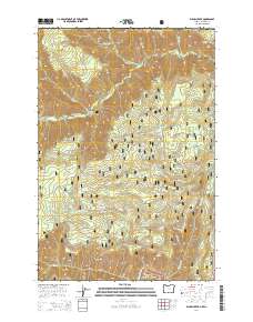 2014 Map of Elbow Creek, 2014 Print