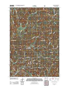 2011 Map of Elk City, 2011 Print