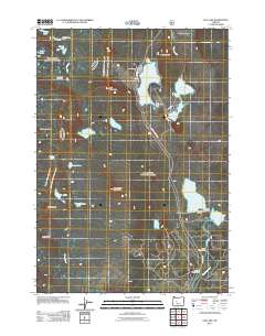 2011 Map of Elk Lake, 2011 Print