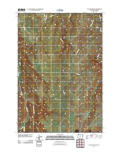 2011 Map of Elk Mountain SE, 2011 Print