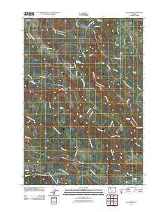 2011 Map of Elk Prairie, 2011 Print
