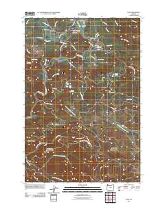 2011 Map of Elsie, 2011 Print