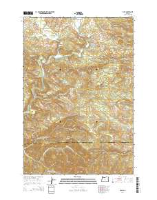 2014 Map of Elsie, 2014 Print