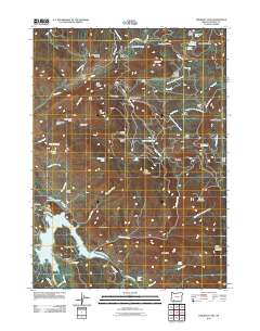 2011 Map of Emigrant Lake, 2011 Print