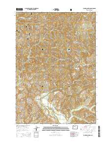 2014 Map of Euchre Mountain, 2014 Print