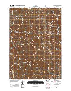 2011 Map of Fairview Peak, 2011 Print