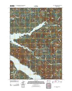 2011 Map of Fall Creek Lake, 2011 Print