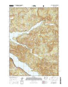 2014 Map of Fall Creek Lake, 2014 Print