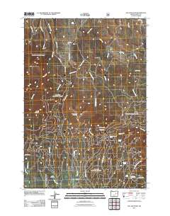 2011 Map of Fall Mountain, 2011 Print