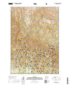 2020 Map of Fall Mountain, 2020 Print