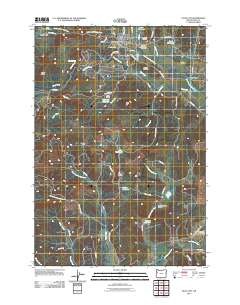 2011 Map of Falls City, 2011 Print