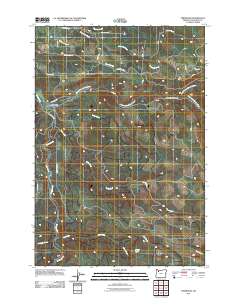 2011 Map of Fernwood, 2011 Print