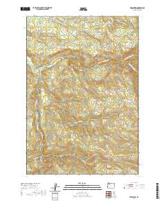 2020 Map of Fernwood, 2020 Print