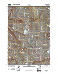 2011 Map of Fire Lake, 2011 Print