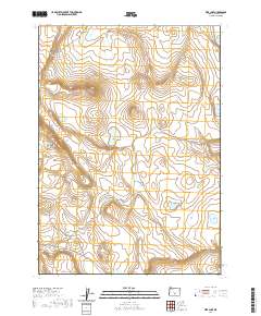 2020 Map of Fire Lake, 2020 Print