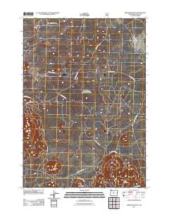 2011 Map of Firestone Butte, 2011 Print