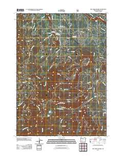 2011 Map of Fish Creek Desert, 2011 Print