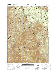 2014 Map of Fish Creek Desert, 2014 Print