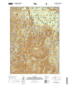 2020 Map of Fish Creek Desert, 2020 Print