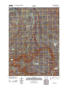 2011 Map of Fish Fin Rim, 2011 Print