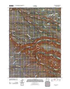 2011 Map of Fish Lake, 2011 Print